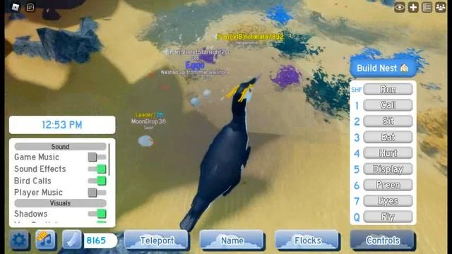 New Feather family Hesperornis смотреть онлайн