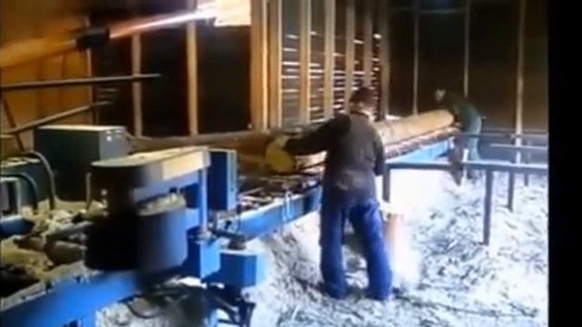 Круглопильный станок ЦДС (дисковая пилорама) в работе