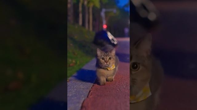 Сама прелесть смотреть онлайн