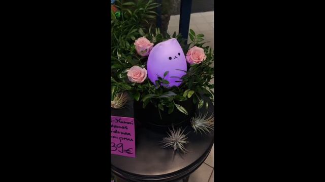 Haapsalu Lillekuller® смотреть онлайн