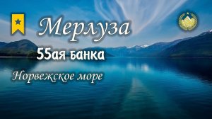 ✮ Норвежское море ✮ Мерлуза на 55ой банке✮