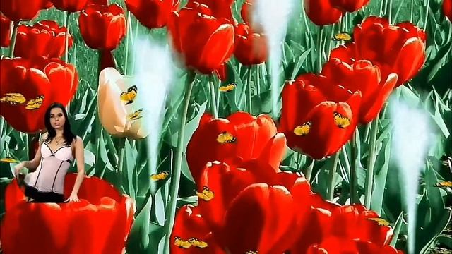 УСПОКАИВАЮЩАЯ МУЗЫКА❤ОЧАРОВАТЕЛЬНЫЕ ЦВЕТЫ❤ДЛЯ ОТДЫХА❤ДЛЯ СЕРДЦА❤ДЛЯ ДУШИ❤ смотреть онлайн