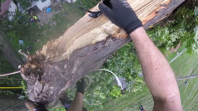 Removing Branches Down On Power Lines смотреть онлайн