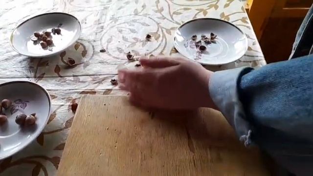 Как расколоть орех фундук ? смотреть онлайн