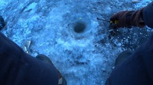 Рыбалка в Амурской области. Благовещенск, водозабор.