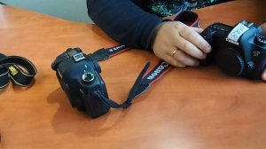 Сравнение камер Canon 5D Mark II и Canon 6D