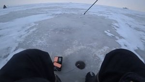 Как поймать зимнего судака на раттлины и другие приманки.