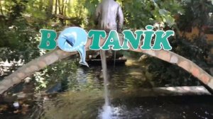 Крутой отдых Турция  Кемер Экскурсия Рыбалка BOTANIK