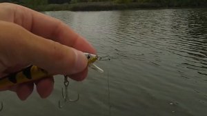 Поводок для твичинга.