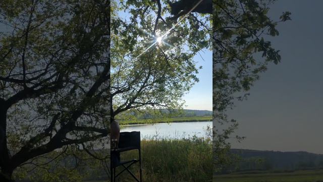 Луна пересмешница! Кавер ! Трутень! смотреть онлайн