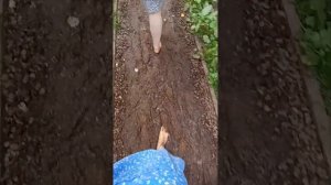 Босоногая тропа.Прогулка в Подмосковье босиком.Навоз