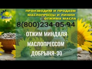 ОТЖИМ МИНДАЛЯ МАСЛОПРЕССОМ ДОБРЫНЯ 30.mp4