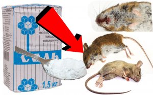 Как избавиться от мышей на даче за 03 секунды!