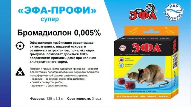 Вебинар "Как избавиться от ГРЫЗУНОВ раз и навсегда!"