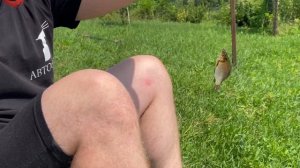 Шооок. Карасики клюют на пустой крючок. Рыбалка на поплавок. Ловля живца. Добыча червей.