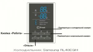 Холодильник SAMSUNG RL40EGMG1