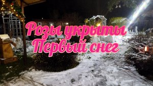 Укрытия роз и других растений!! Подготовка к зиме!!