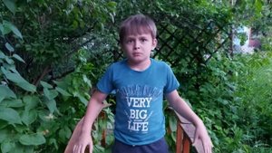 КИВИ!!! В МИРЕ ПТИЦ!!!