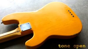 Fender RI 51 precision bass custom, curtis novak pickup