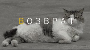 Подмена товара при возврате на маркетплейсах