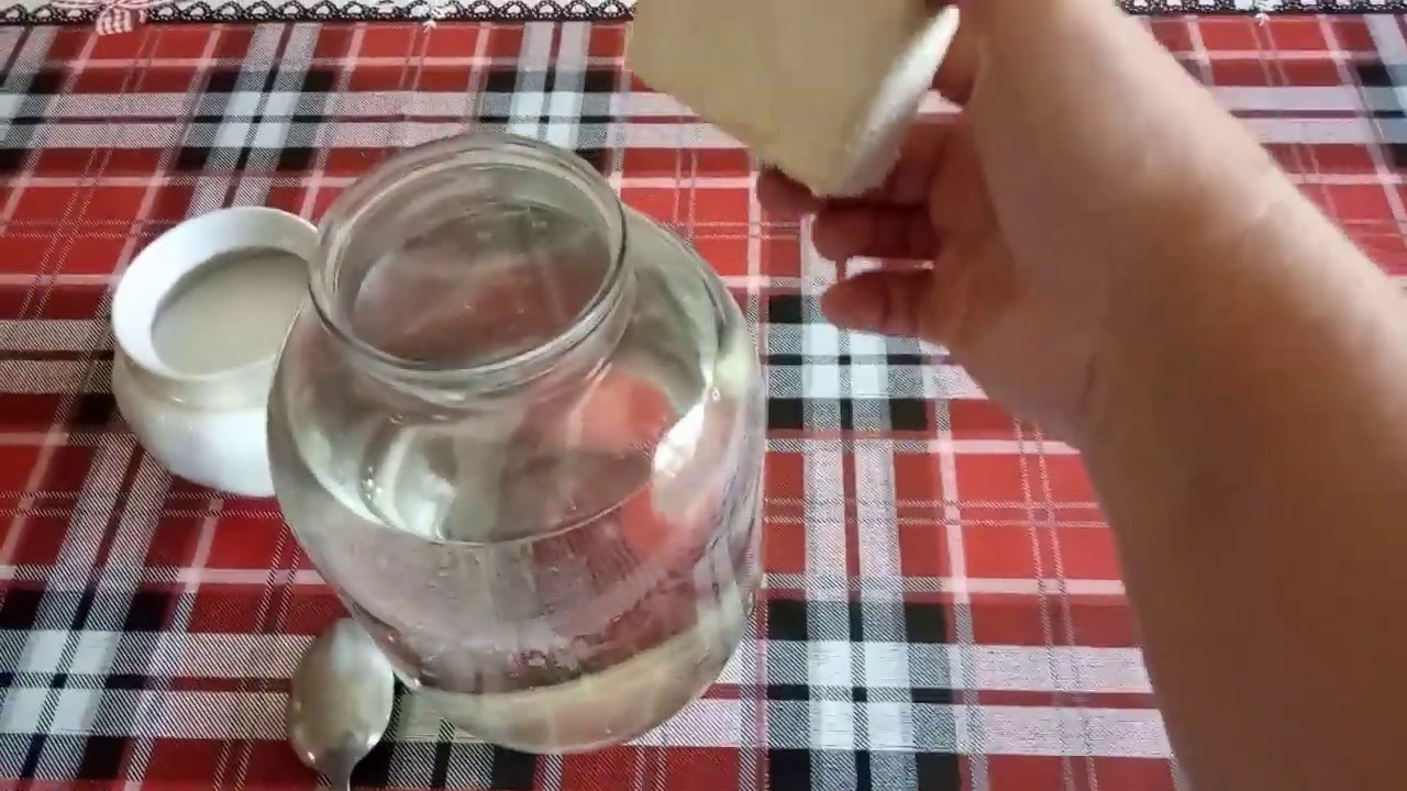 Лучшая, любимая подкормка для огурцов, томатов и других овощей / чем подкормить овощи?
