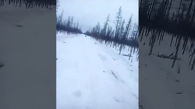 Зимник. смотреть онлайн