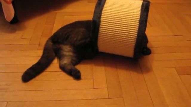 Прекрасная Алехандра смотреть онлайн