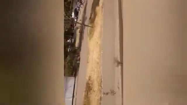 первая поездка на стороновому автобусе маз 215 марш 101 борт неповню горад Киев смотреть онлайн