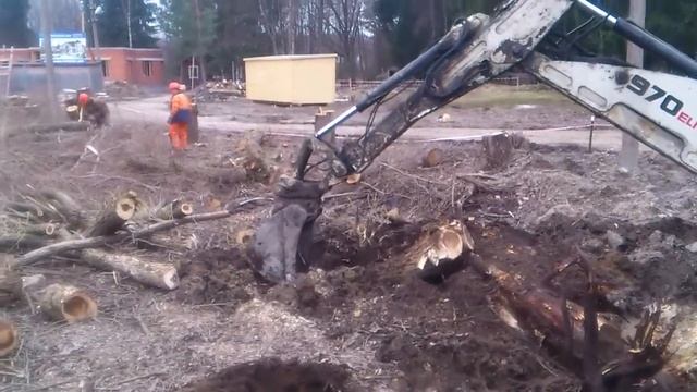 Корчевка пней механизированным способом