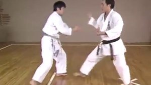 Kihon Ippon Kumite _ Hirokazu Kanazawa 10th Dan Karate Shotokan