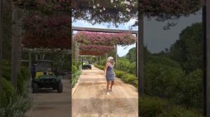 Skyframe Gardens in West Chicago at Ball Horticultural