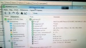 Phenom II X6 1065T быстрая демонстрация работоспособности.