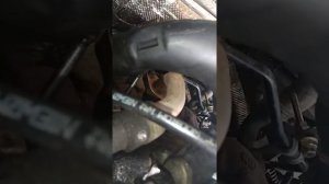 Заглушить егр гольф 4 Ауди 1.9тди