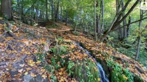 Пойма реки Нара с водопадом «Радужный»
 #здравствуйте_явашаООПТ 32/146