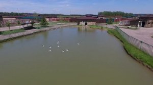 Зоопарк "Планета Обезьян"