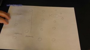 Как найти и поймать зимой крупного окуня на балансир