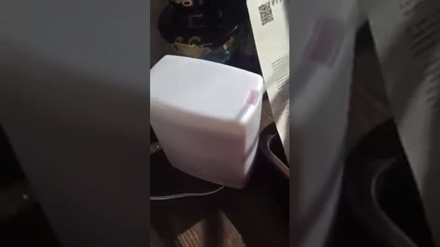 Эфирные масла доТерра уничтожают мошек (тлю в земле) при выращивании рассады и цветов