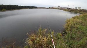 ЭТО БРЕВНО ЧУТЬ НЕ СЛОМАЛО УДОЧКУ! ОСЕННЯЯ РЫБАЛКА С ЖИВЦОМ НА ПОПЛАВОК В ДВУХ ШАГАХ ОТ ДОМА! БОНУС