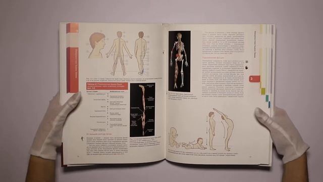 Анатомические поезда. 3-е издание смотреть онлайн