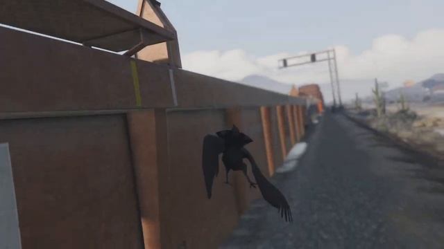 Как летать если ты птица? смотреть онлайн