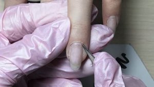 Как относились материалы BLOOM/Тестируем файбер базу PNB/Нежная классика