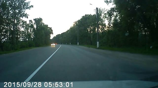 Лось на дамбе в Кирове 23.06.2018 около 21-30 смотреть онлайн