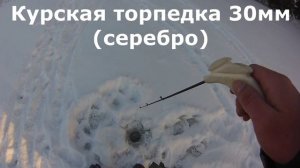 Зимняя блесна. Окунь. Подмосковье. Курская торпедка, Трехгранка.