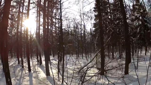 Алиса Душа смотреть онлайн