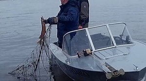 АнтиБрак 2016. Рейд против браконьеров. Веряжа-Ильмень-Веронда.