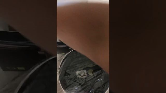 Обзор Кастрюля BergHOFF Eclipse 3.7л. от Rozetka смотреть онлайн