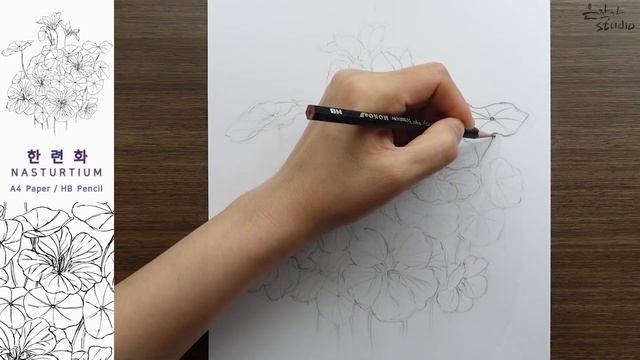 한련화 꽃그림 그리기 | 연필 스케치와 전사과정 | Flower Drawing Nasturtium смотреть онлайн