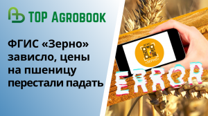 ФГИС «Зерно» зависло, цены на пшеницу перестали падать. TOP Agrobook: обзор аграрных новостей