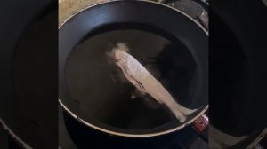 Жарим речную рыбку - подус! #всочиумаши