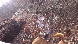 2014年猪鹿猟総集編　I 　　Японская охота на кабанов и олня 1